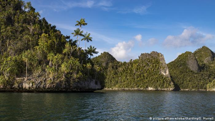 ilustrasi pantai di Papua