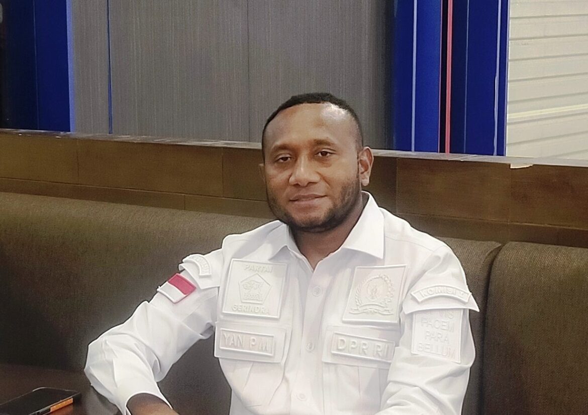 Anggota DPR RI Dapil Papua Yan P Mandenas