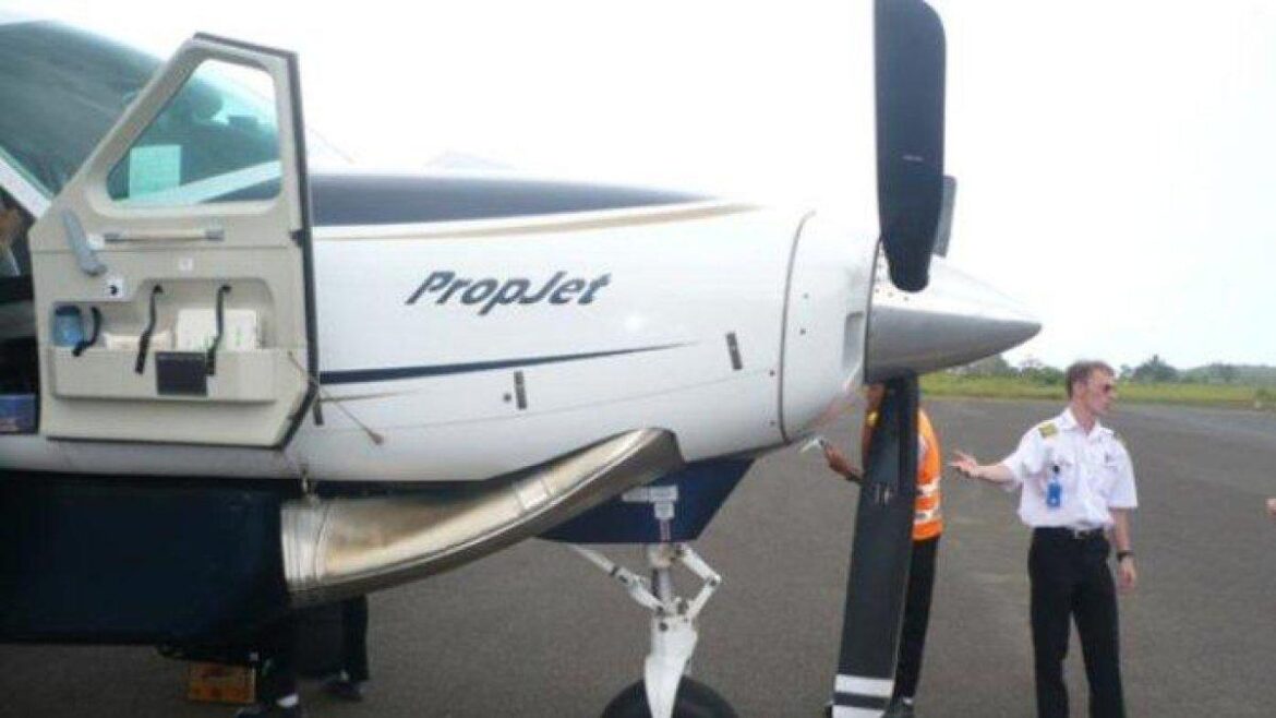 Ilustrasi Pilot Susi Air